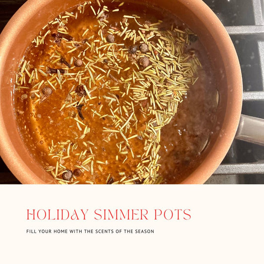 NEW - Holiday Simmer Pots